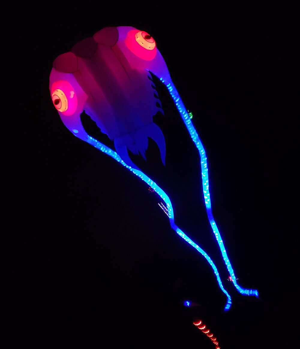 Kite at night